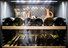 Bei welcher Temperatur sollte ich welchen Wein lagern? - Weinkühlschrank Vorteile