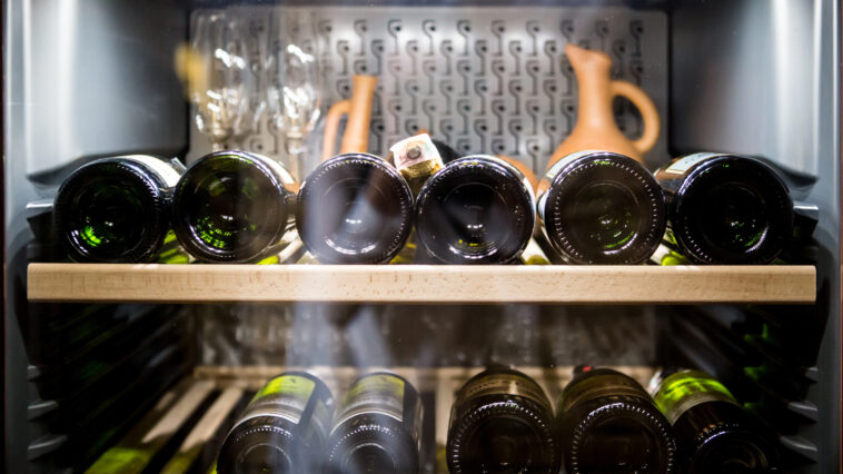 Bei welcher Temperatur sollte ich welchen Wein lagern? - Weinkühlschrank Vorteile